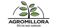Agromillora
